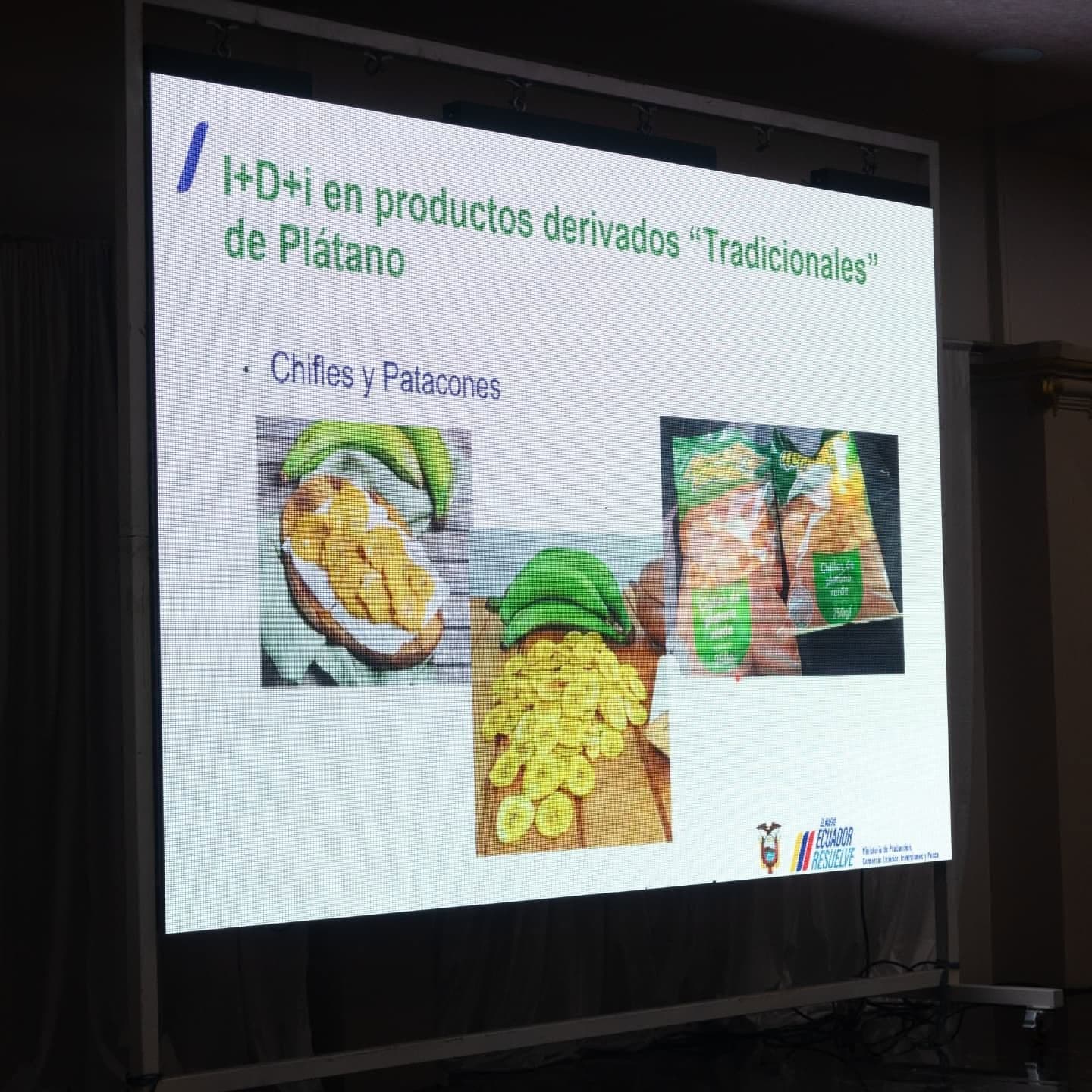 Foro del Plátano